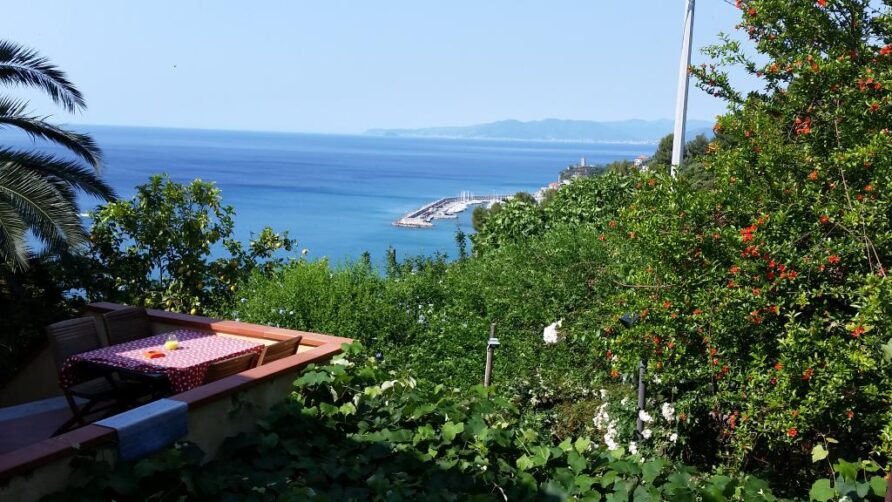 Qui troverete le offerte speciali